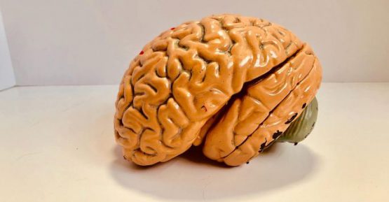 Professional Athlete Loans: CTE in the NFL