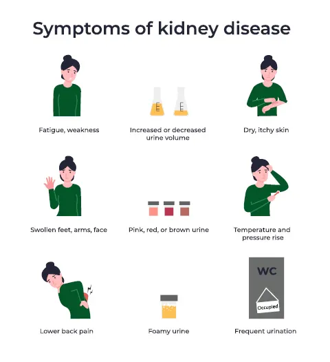 symptoms of kidney disease