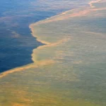 Case Study Lessons from the BP Oil Spill Settlement Delays
