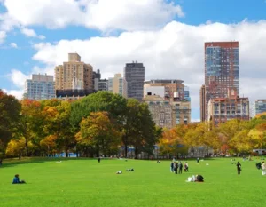 Central Park in New York City