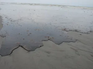 Thick oil washing onto the shores of Louisiana
