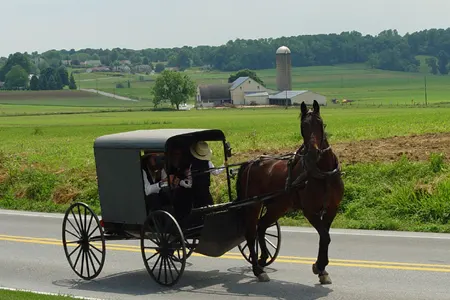 amish buggy and horse in lancaster pennsylvania